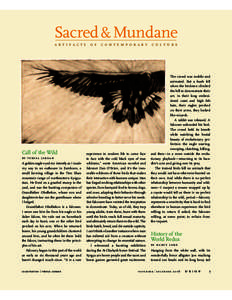 Sacred & Mundane artifacts of contemporary culture Call of the Wild by teresa jordan A golden eagle eyed me intently as I made