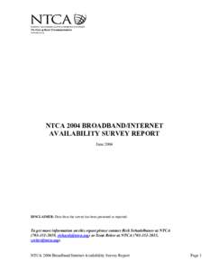 Microsoft Word[removed]Broadband Survey Report FINAL.doc