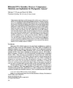 Ribosomal RNA Secondary Structure: Compensatory Mutations and Implications for Phylogenetic Analysis ’ Michael T. Dixon and David M. Hillis Department  of Zoology, The University of Texas at Austin