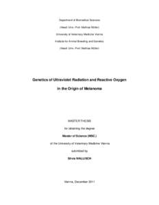 Department of Biomedical Sciences (Head: Univ.-Prof. Mathias Müller) University of Veterinary Medicine Vienna Institute for Animal Breeding and Genetics (Head: Univ.-Prof. Mathias Müller)