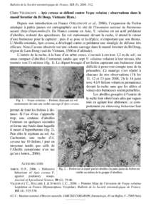 Bulletin de la Société entomologique de France, 113 (3), 2008 : 312.  Claire VILLEMANT. – Apis cerana se défend contre Vespa velutina : observations dans le massif forestier du Bi Doup, Vietnam (Hym.) Depuis son int