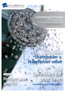 Luxembourg for Finance THE OFFICIAL NEWSLETTER OF THE LUXEMBOURG FINANCIAL CENTRE Number 12 | December[removed]Corporate governance