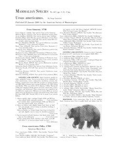 Biology / Ursinae / Bear / Ursus / Grizzly bear / American black bear / Brown bear / Polar bear / Florida black bear / Bears / Zoology / Fauna of Asia