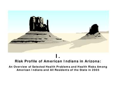 I. Risk Profile of American Indians in Arizona: An Overview of Selected Health Problems and Health Risks Among American Indians and All Residents of the State in 2005  The risk profile presented on the following page s