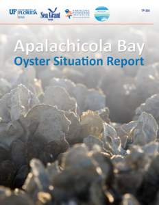 Apalachicola Bay Oyster Situation Report