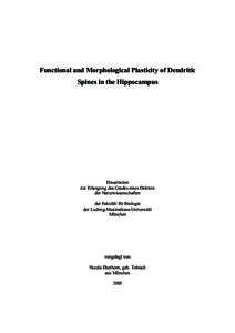 Functional and Morphological Plasticity of Dendritic Spines in the Hippocampus