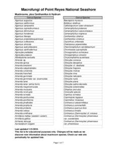 Macrofungi of Point Reyes National Seashore Mushrooms, plus Cantharellus & Hydnum Genus/Species Agaricus augustus Agaricus californicus Agaricus campestris