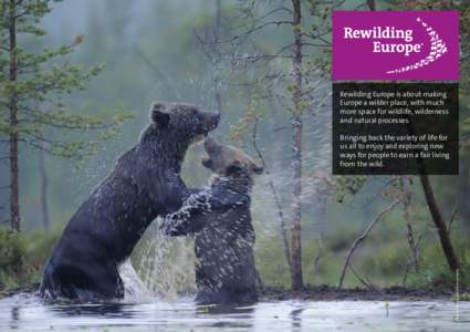 Making Europe a Wilder Place!  Rewilding Europe is about making Europe a wilder place, with much more space for wildlife, wilderness and natural processes.