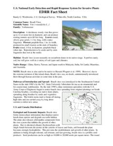 U.S. National Early Detection and Rapid Response System for Invasive Plants  EDRR Fact Sheet Randy G. Westbrooks, U.S. Geological Survey. Whiteville, North Carolina. USA. Common Name: Beach Vitex Scientific Name: Vitex r