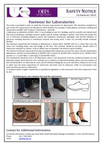 SAFETY NOTICE 16 FEBRUARY 2015 Footwear for Laboratories This notice is provided in order to clarify the footwear requirements for laboratories. This should be considered as part of the PPE requirements for laboratories 