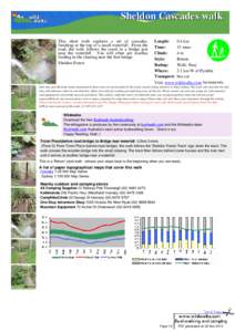 Sheldon Cascades walk This short walk explores a set of cascades, finishing at the top of a small waterfall. From the road, the walk follows the creek to a bridge just near the waterfall. You will often see rosellas feed