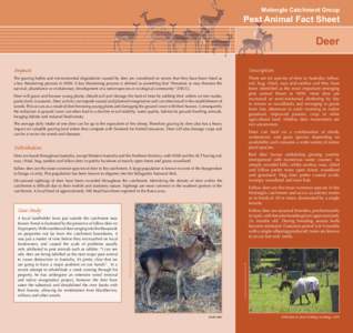 Molonglo Catchment Group  Pest Animal Fact Sheet Deer Impacts
