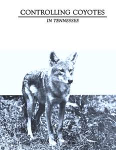 CONTROLLING COYOTES IN TENNESSEE T  he mournful howl of the coyote, long a