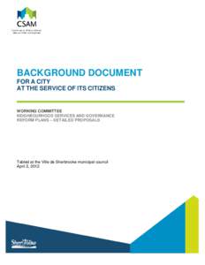 BACKGROUND DOCUMENT FOR A CITY AT THE SERVICE OF ITS CITIZENS WORKING COMMITTEE NEIGHBOURHOOD SERVICES AND GOVERNANCE