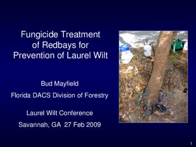 Fungicide Treatment of Redbays for Prevention of Laurel Wilt Bud Mayfield Florida DACS Division of Forestry Laurel Wilt Conference