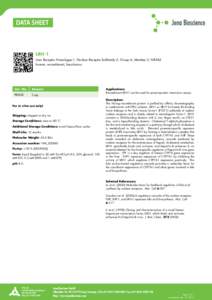 LRH-1 Liver Receptor Homologue-1, Nuclear Receptor Subfamily 5, Group A, Member 2; NR5A2 human, recombinant, baculovirus Cat. No.