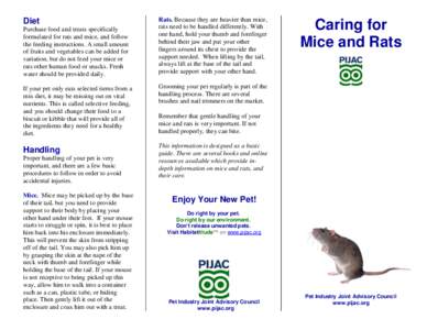 Diet Purchase food and treats specifically formulated for rats and mice, and follow the feeding instructions. A small amount of fruits and vegetables can be added for variation, but do not feed your mice or