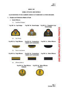 Annex 39E - Illustrations of RN & QARNNS Badges of Rank/Rate & Other Insignia