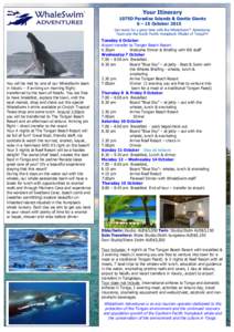 Whaling / Tonga / Vavaʻu / Whale / Humpback whale / Earth / Water / Pacific Ocean / Baleen whales / Whale watching