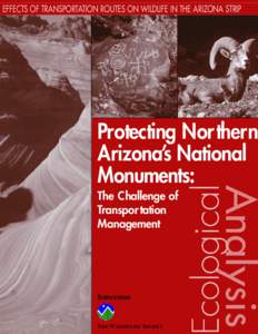 EFFECTS OF TRANSPORTATION ROUTES ON WILDLIFE IN THE ARIZONA STRIP  Protecting Nor thern Arizona’s National Monuments: The Challenge of
