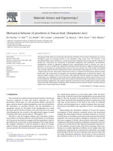 Mechanical behavior of prosthesis in Toucan beak (Ramphastos toco)