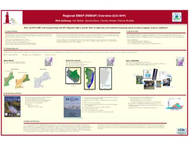 Regional EMAP (REMAP) Overview (ECO MYP) Walt Galloway, Hal Walker, Sandra Benyi, Charles Strobel, Patricia Bradley How can EPA ORD work in partnership with EPA Regional Offices and the States in improving environmental 