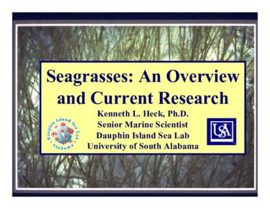 Seagrasses: An Overview and Current Research Kenneth L. Heck, Ph.D. Senior Marine Scientist Dauphin Island Sea Lab University of South Alabama