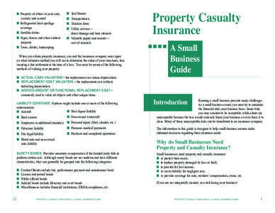 Liability insurance / Additional insured / Home insurance / Claims adjuster / Property insurance / Casualty insurance / Risk purchasing group / Independent insurance agent / Types of insurance / Insurance / Financial economics
