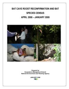 Microsoft Word - Report on 2008 Bat Cave Activities_amended April 2009