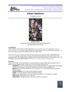 University of California Cooperative Extension Central Coast & South Region Center for Landscape and Urban Horticulture  Indian Hawthorn