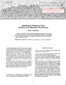 Phyla / Protostome / Mountain pine beetle / Bark beetle / Beetle / Dendroctonus / Bark / Pinus ponderosa / Brood / Curculionidae / Woodboring beetles / Flora of the United States