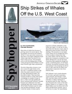 Spyhopper  Ship Strikes of Whales Off the U.S. West Coast  ACS Newsletter