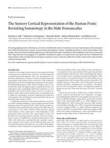 Cognitive science / Neuroanatomy / Brain / Central nervous system / Postcentral gyrus / Somatic sensory system / Secondary somatosensory cortex / Somatotopy / Cortical homunculus / Anatomy / Cerebrum / Nervous system