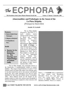 The  ECPHORA The Newsletter of the Calvert Marine Museum Fossil Club