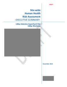 Libby Asbestos Draft Site-wide Human Health Risk Assessment - Executive Summary, December 8, 2014