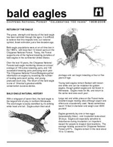 bald eagles Chippewa National Forest “Celebrating 100 years”  [removed]