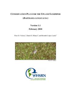 CONSERVATION PLAN FOR THE UPLAND SANDPIPER (BARTRAMIA LONGICAUDA) Version 1.1 February 2010 Peter D. Vickery1, Daniel E. Blanco2, and Bernabé López-Lanús3