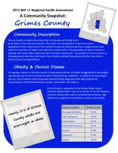 2013 RHP 17 Regional Health Assessment  A Community Snapshot: Grimes County Community Description