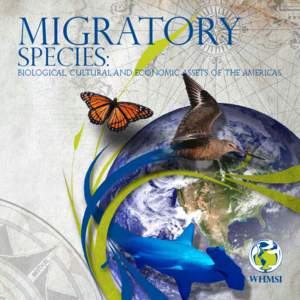 Migratory species: Biological, cultural and economic assets of the Americas  2