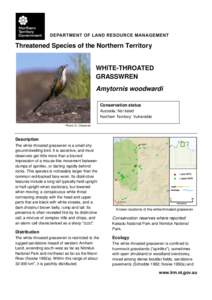 Threatened Species of the Northern Territory  WHITE-THROATED GRASSWREN Amytornis woodwardi Conservation status