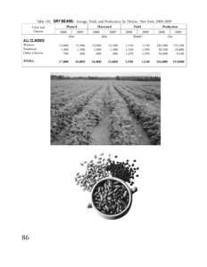 Table 102. DRY BEANS: Acreage, Yield, and Production, by District, New York, [removed]Class and District Planted 2008