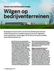 Kansen voor hernieuwbare energie  FOTO: MARTIJN BOOSTEN Wilgen op bedrijventerreinen