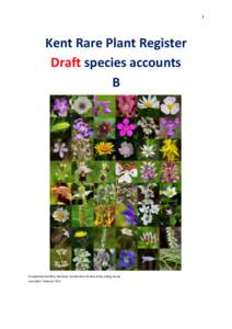 1  Kent Rare Plant Register Draft species accounts B