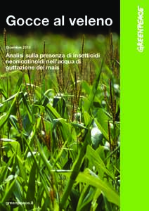 Gocce al veleno Dicembre 2013 Analisi sulla presenza di insetticidi neonicotinoidi nell’acqua di guttazione del mais