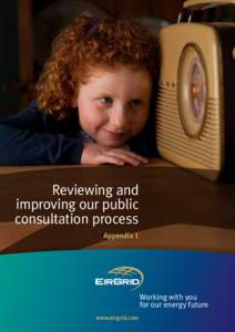 Reviewing and improving our public consultation process Appendix 1  Working with you