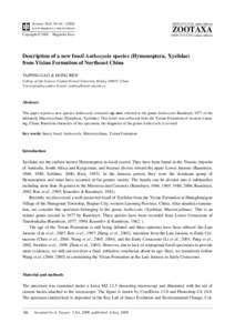 Geology of China / Lagerstätten / Yixian Formation / Alexandr Pavlovich Rasnitsyn / Stephanoidea / Euenantiornithes / Cretevania / Daohugou Beds / Hymenoptera / Mesozoic / Phanerozoic