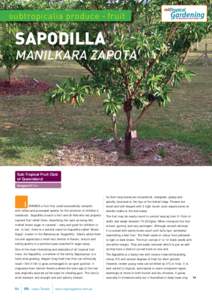 Tropical agriculture / Citrus hybrids / Medicinal plants / Invasive plant species / Berries / Manilkara zapota / Orange / Ziziphus mauritiana / Lemon / Agriculture / Fruit / Botany