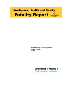 WORKER FALLS FROM LADDER October 31, 2008 Fatality File: F[removed]