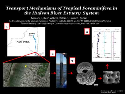 Transport Mechanisms of Tropical Foraminifera in the Hudson River Estuary System Monahan, Kyle1, Abbott, Dallas. 2, Hönisch, Bärbel .2 1Earth  1