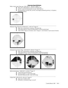 Glaucoma Stage Definitions: Mild or Early stage Glaucoma ICD9[removed]; ICD 10 7th digit “1”  Optic Nerve abnormalities consistent with glaucoma  but NO visual field abnormalities on any visual field test  OR 